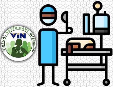 VVI Anesthesia