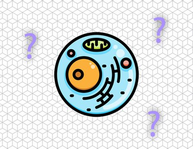 The Cell