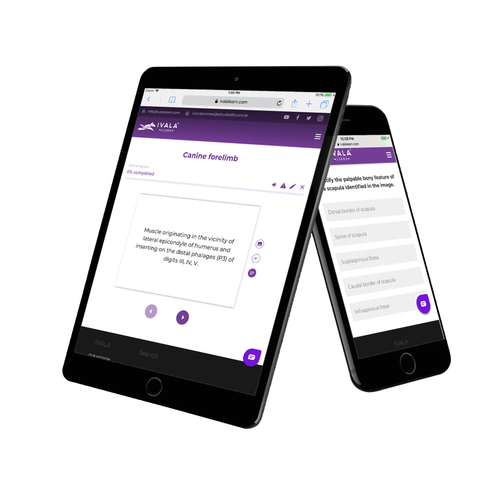 Mobile friendly