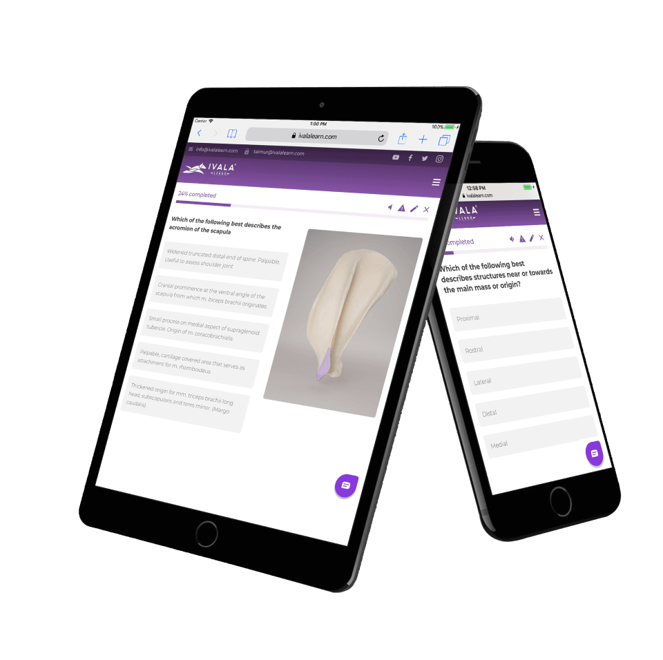 Mobile friendly